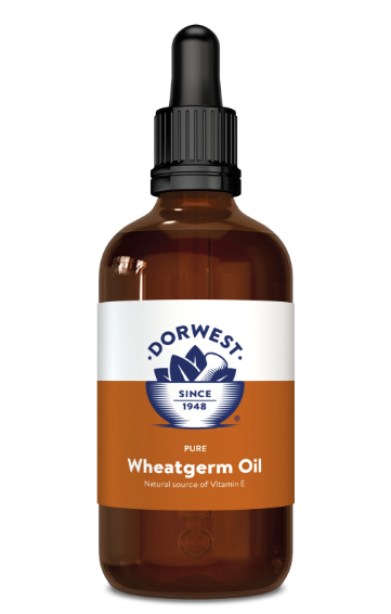 Dorwest Vitamin E Wheatgerm Oil Liquid 500ml