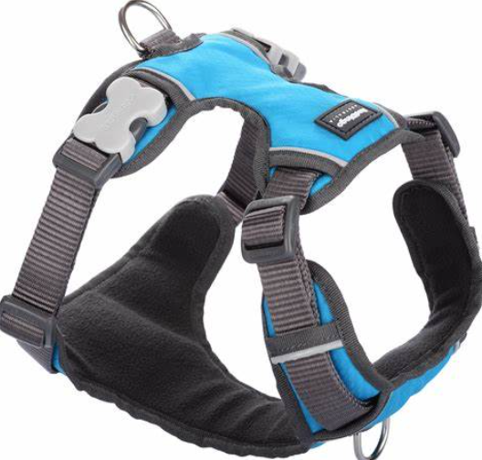 Red Dingo Padded Dog Harness Turquoise