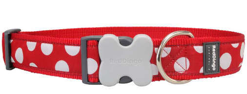 Red Dingo Spots Dog Collar Red