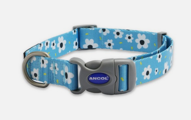 Ancol Soho Daisy Patterned Collar