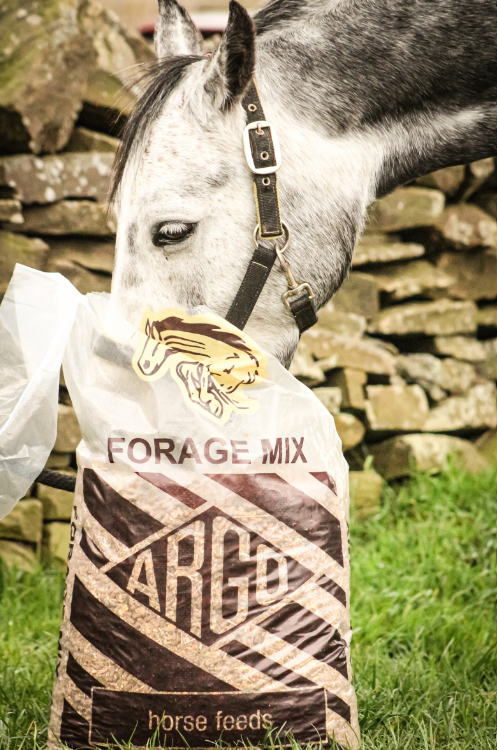 Argo Forage Mix Horse Feed 20kg