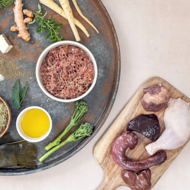 Benyfit Natural Tasty Turkey Complete Adult Raw Working Dog Food