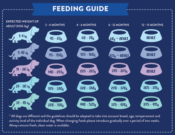 Tilly's Black Bag Puppy Angus Beef with Carrot, Green Beans, Cauliflower, Tomato & Courgette
