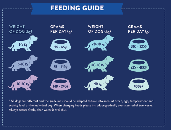 Tilly's Black Bag ADULT Scottish Salmon with Dill, Spinach, Fennel, Asparagus & Tomato