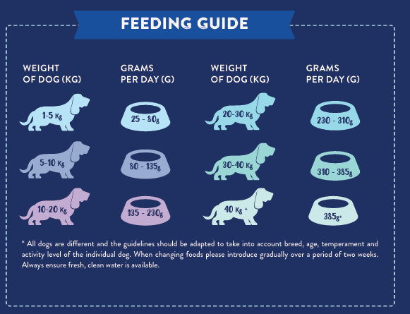 Tilly's Black Bag ADULT Free Range Turkey & Pork with Parsley, Papaya, Nettle, Zucchini & Pumpkin