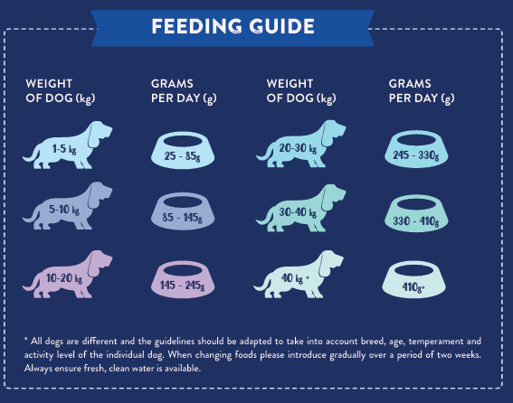 Tilly's Black Bag British Grass Fed Lamb with Mint, Pomegranate, Mulberry, Broccoli & Fennel ADULT DOG