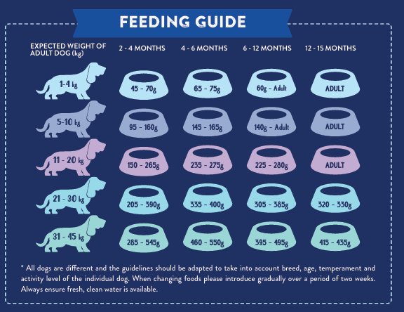 Tilly's Black Bag PUPPY Free Range Turkey & Pork with Parsley, Papaya, Nettle, Zucchini & Pumpkinh
