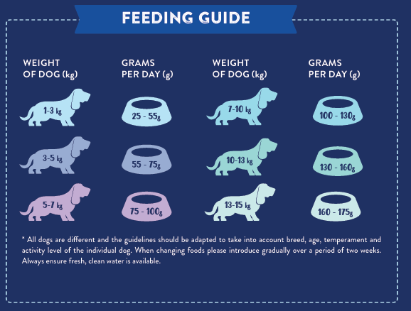 Tilly's Black Bag SMALL BREED Free Range Turkey & Pork with Parsley, Papaya, Nettle, Zucchini & Pumpkin