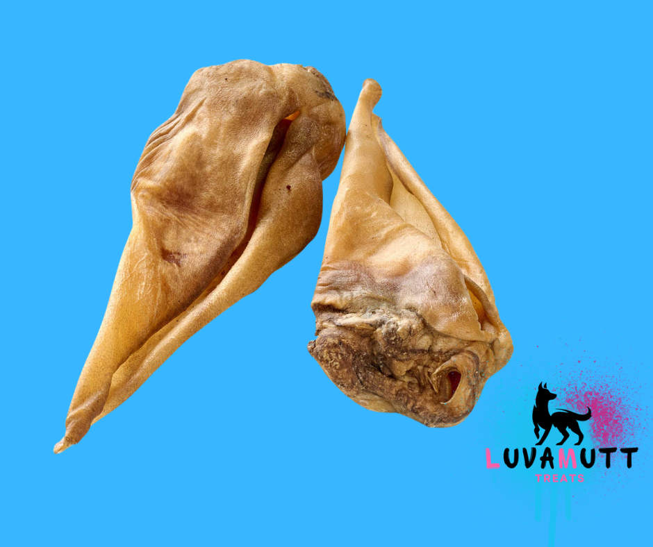 LuvaMutt Horse Ear Without Fur