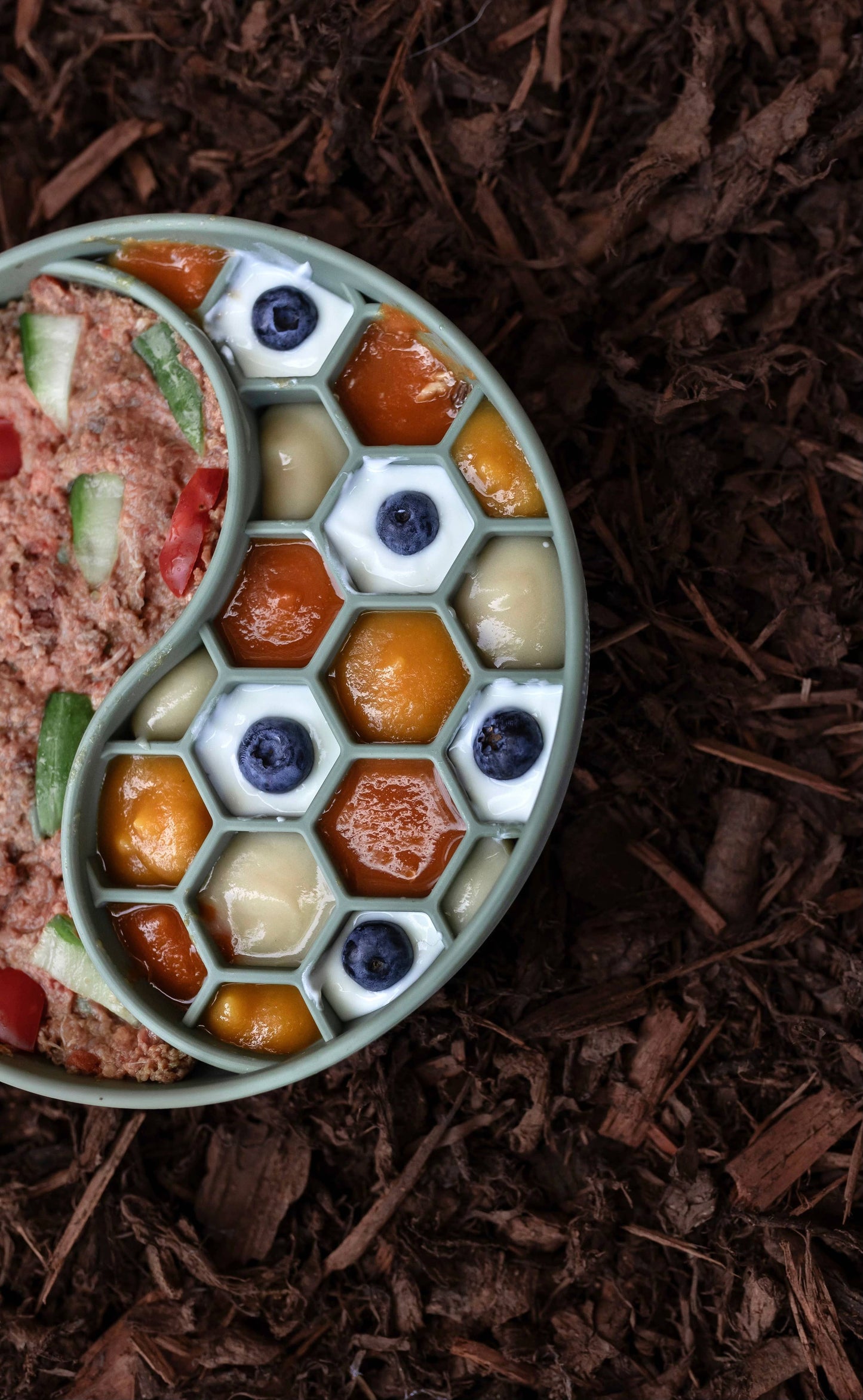 Bodhi & The Birchtree Honeycomb Slow Feeder Bowl In Olive