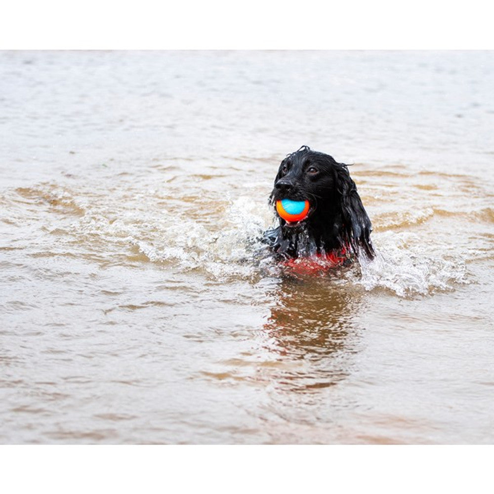 Chuckit! Amphibious Balls 3 Pack