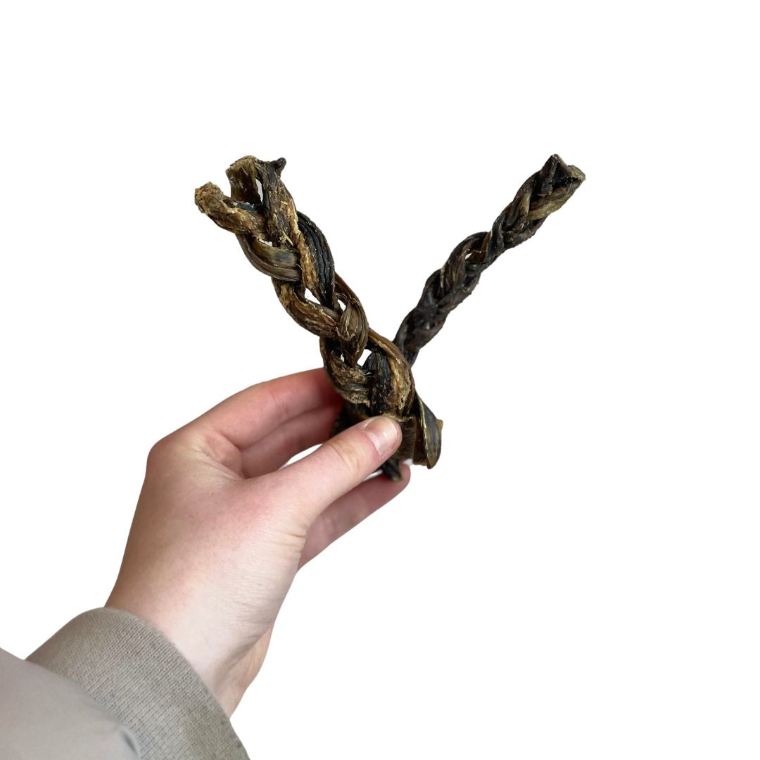 Buffalo Braided Gullet