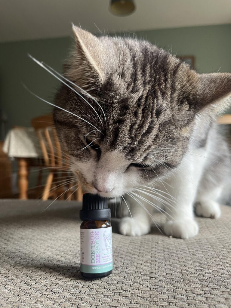 Mr Slobberchops Don’t Bug Me Cat Spot on