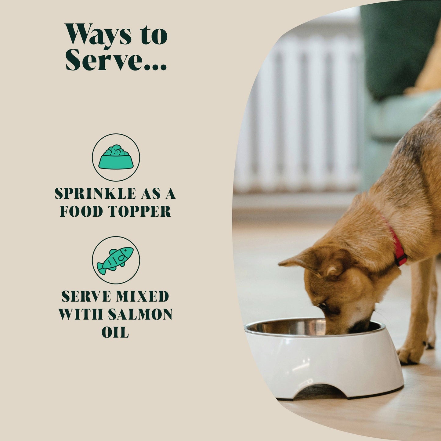 Hackney Dog House Green Lipped Mussel Powder for Dogs - 80 Servings