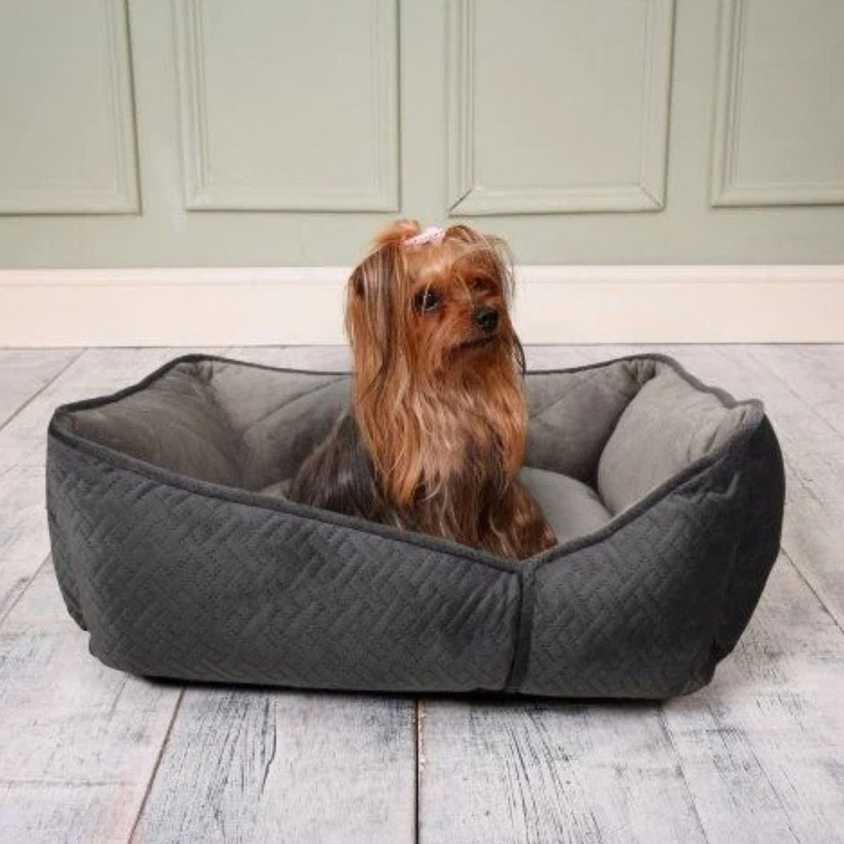 A small long-haired dog sits inside a dark gray quilted pet bed on a light wood floor in front of a pale green paneled wall.