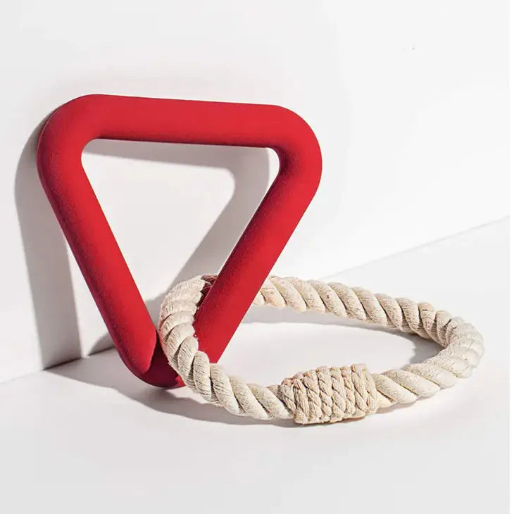 On the Run Triangle Dog Toy