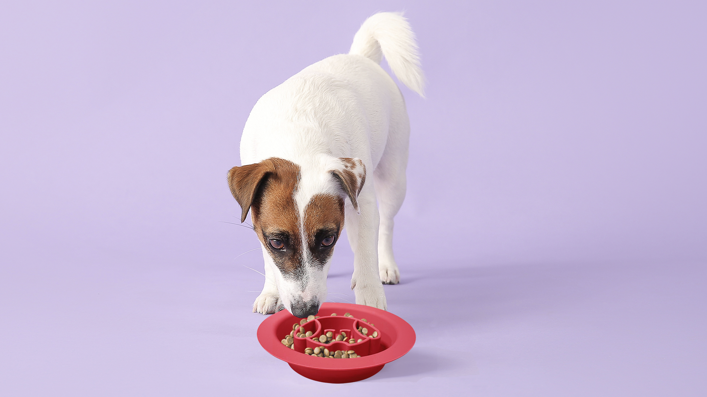 Spunky Pup Lick Pad + Slow Feeder DUO Bowl