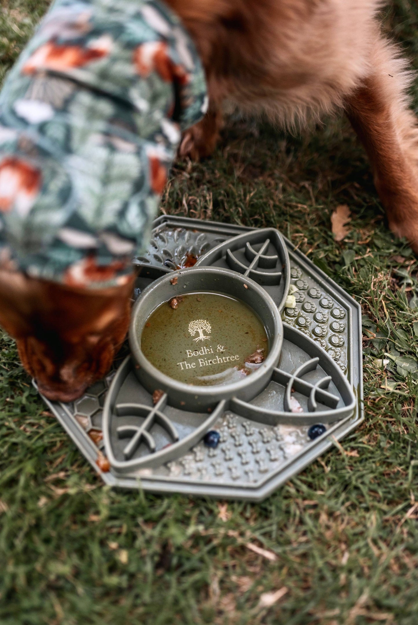 Bodhi & The Birchtree Mandala Slow Feeder In Olive