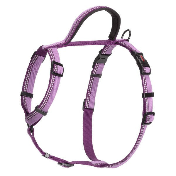 Purple dog harness on a white background