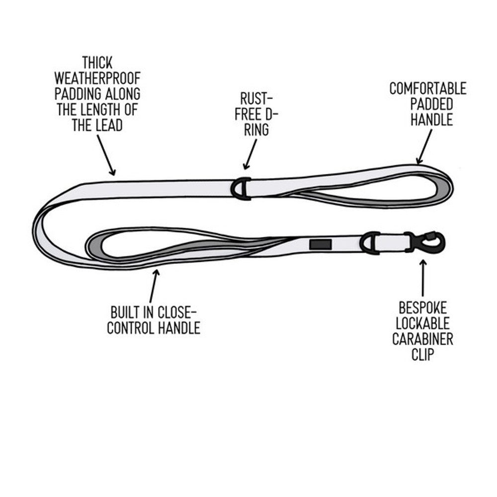 Twiggy Tags Adventure Lead with Close Control Handle Petrichor 1.5m