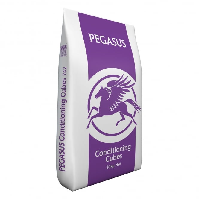 Spillers Pegasus Condition Cubes 20kg