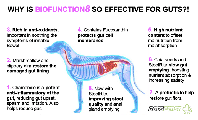 BioFunction8 | Natural relief from chronic gut issues
