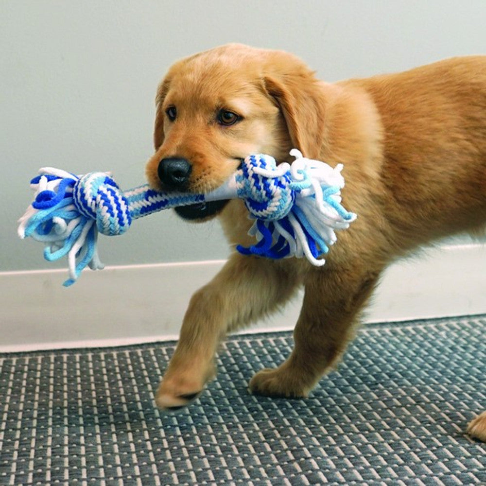 KONG Rope Stick Puppy Assorted Medium