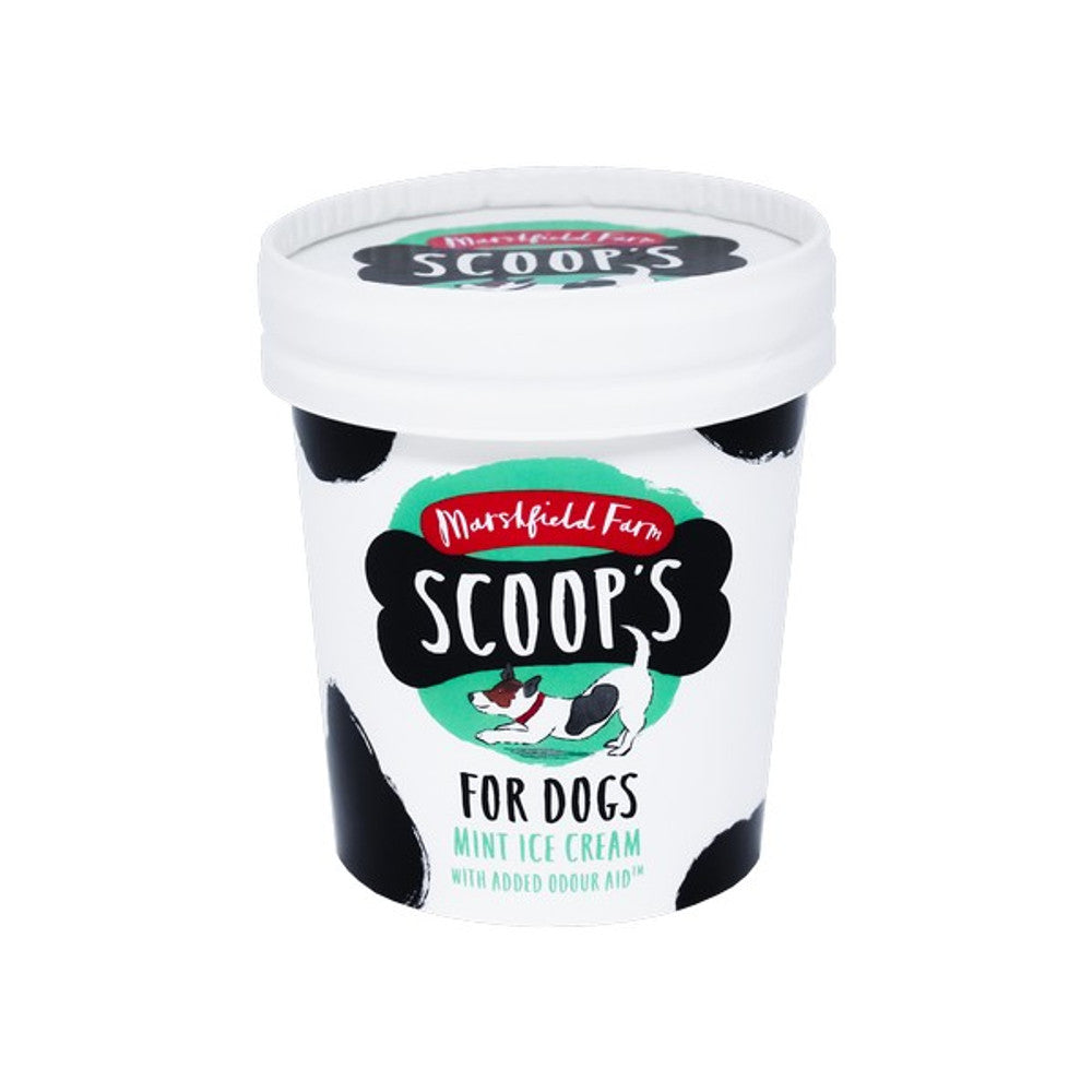 Scoops Mint Ice Cream for Dogs with joint aid supplement 125ml