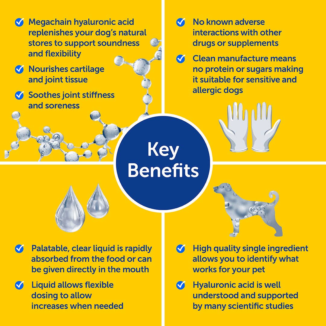 Key benefits of a dog supplement product on a yellow background
