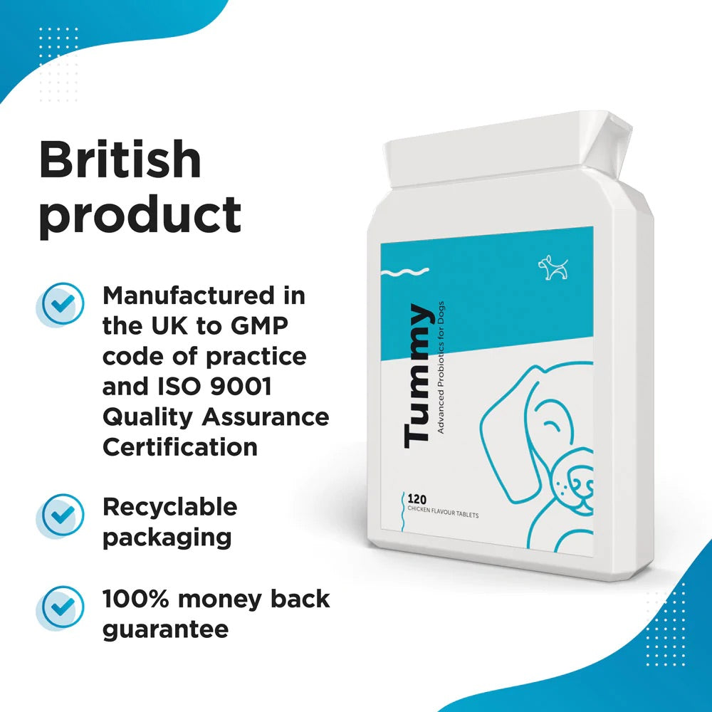 Dog's Lounge TUMMY – Probiotic and Prebiotic Supplement for Dogs and Puppies