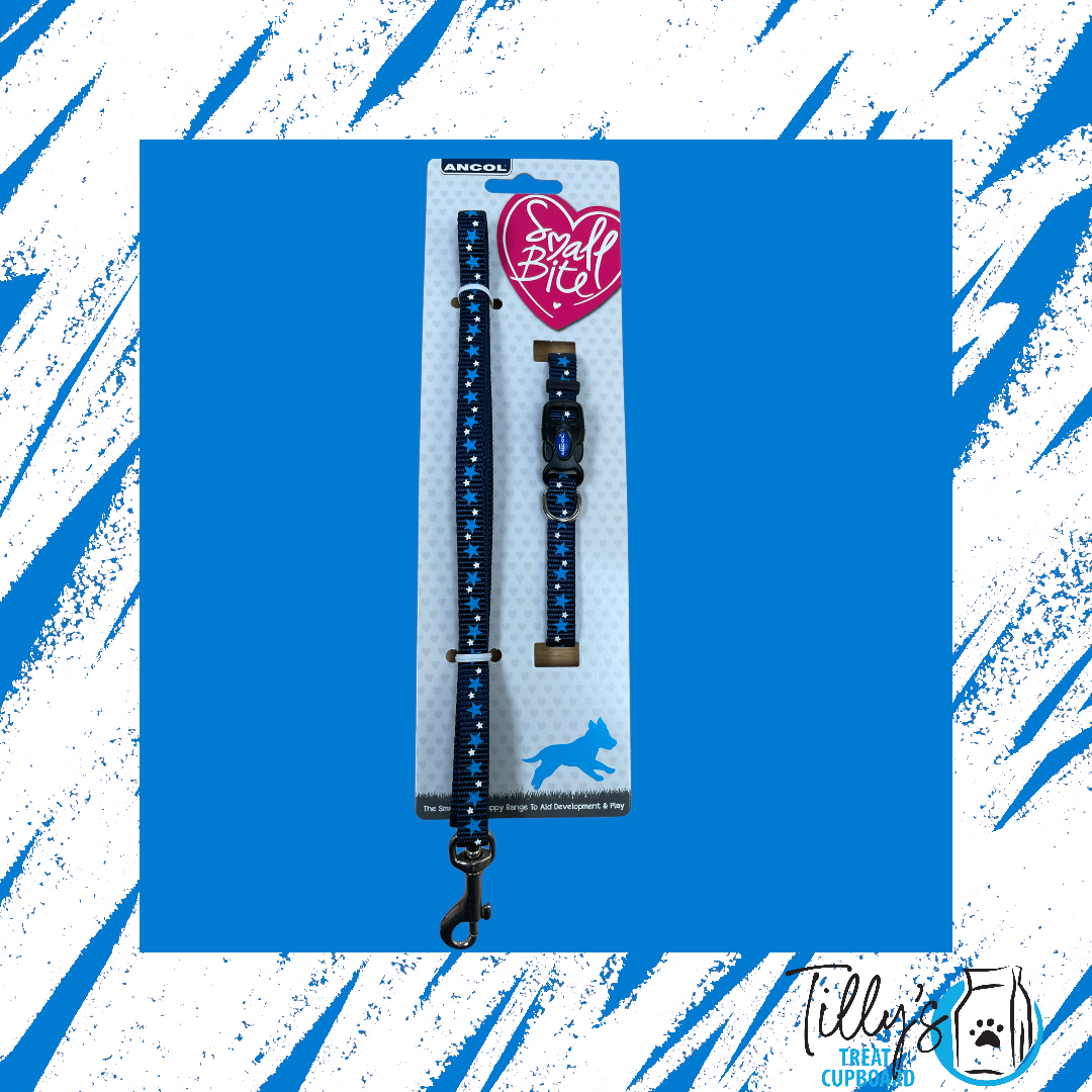 Ancol Nylon Star Puppy Collar and Lead Set Blue