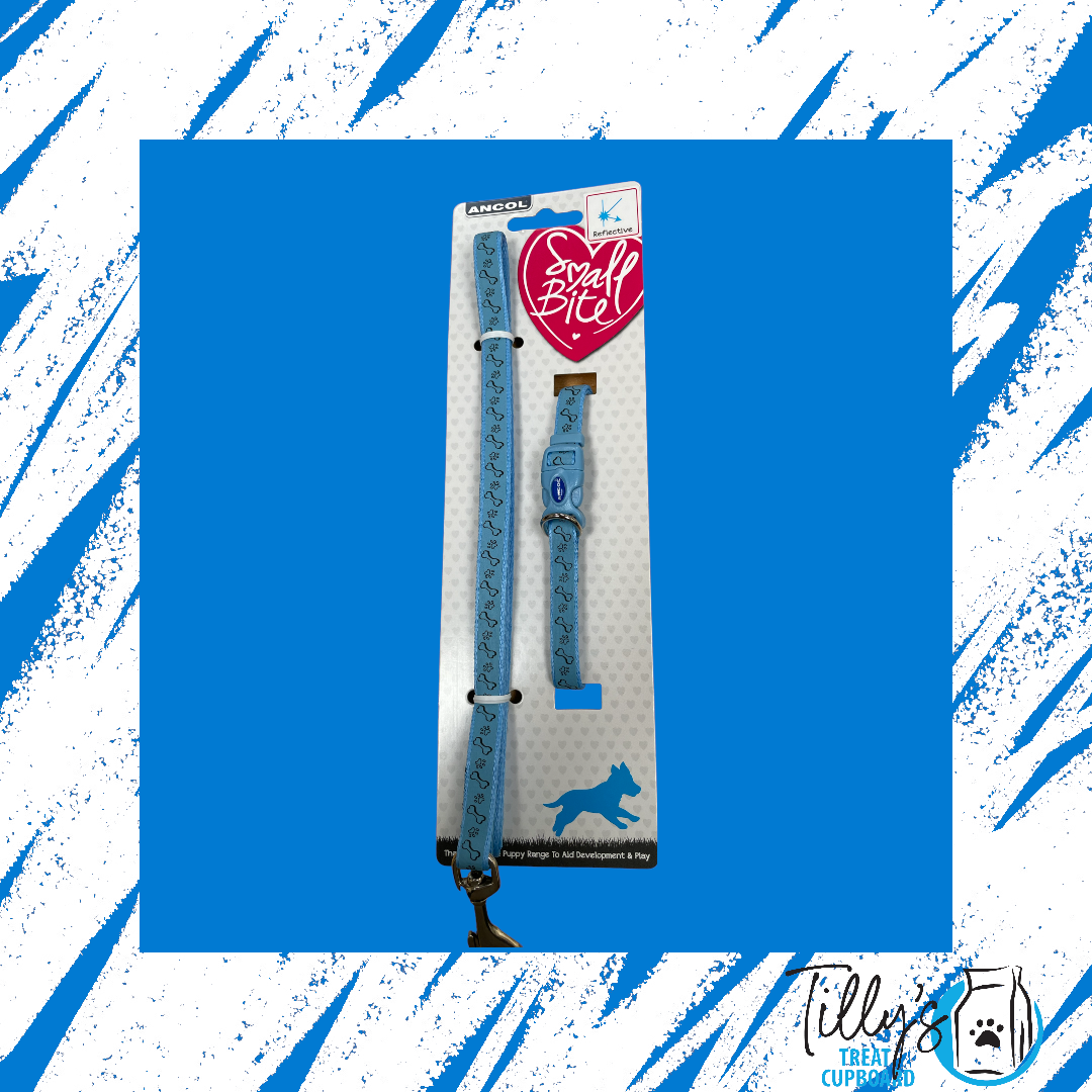 Ancol Reflective Paw & Bone Puppy Collar and Lead Set Blue