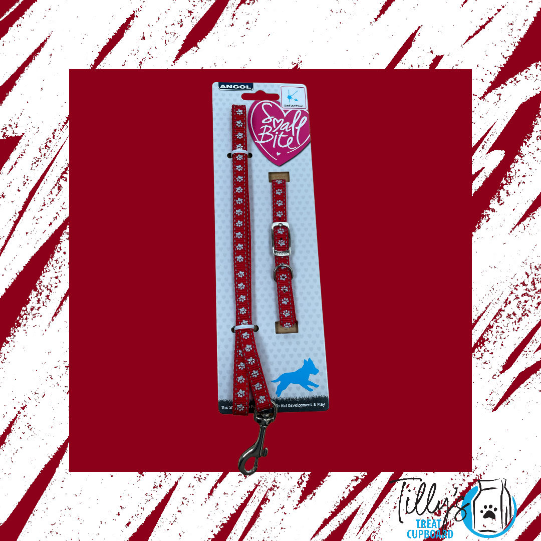 Ancol Reflective Small Bite Puppy Collar and Lead Set Red Paw Print