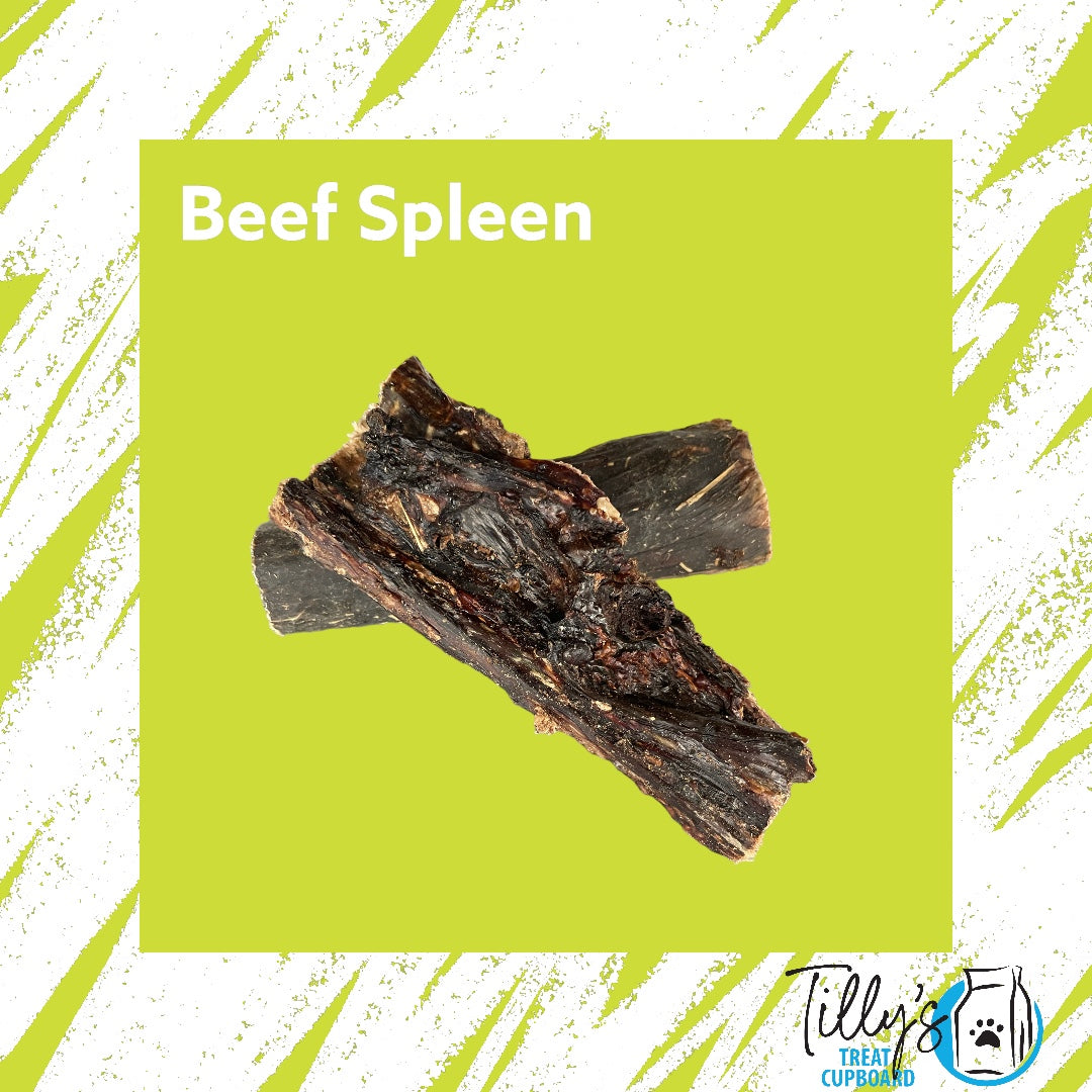 Beef Spleen