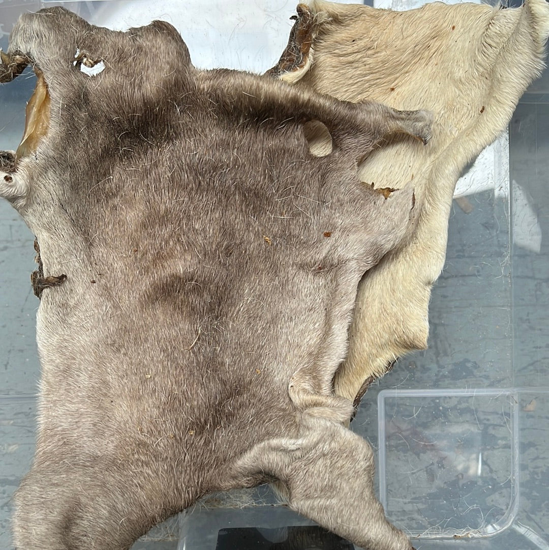XL Hairy Beef Skins
