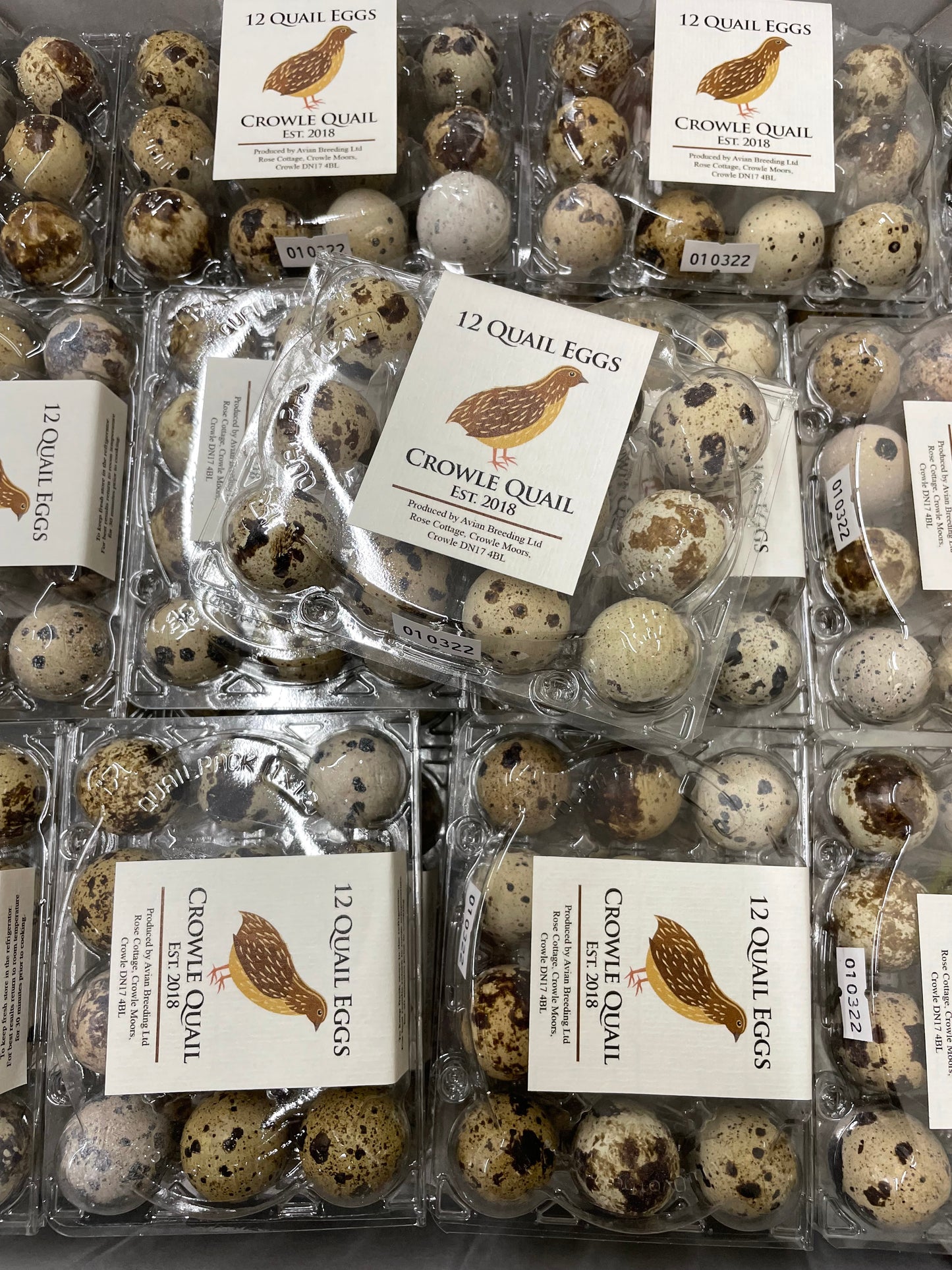 Fresh Quail Eggs (x12)