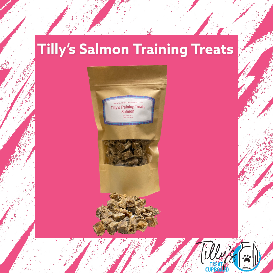 Tilly's Salmon Training Treats 75g