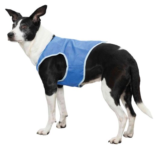Trixie Cooling Vest