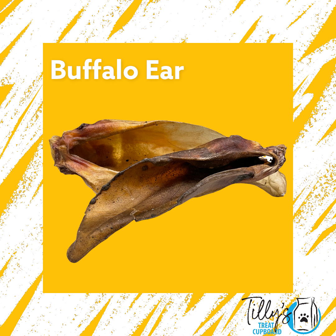 Buffalo Ear