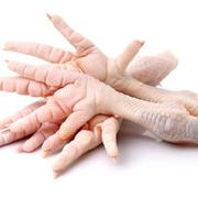 Raw Chicken Feet 1kg