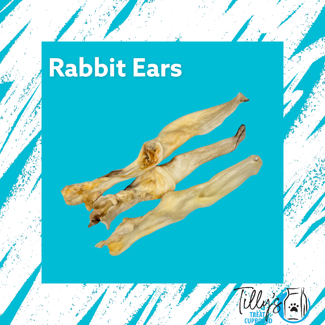 Bald Rabbit Ear