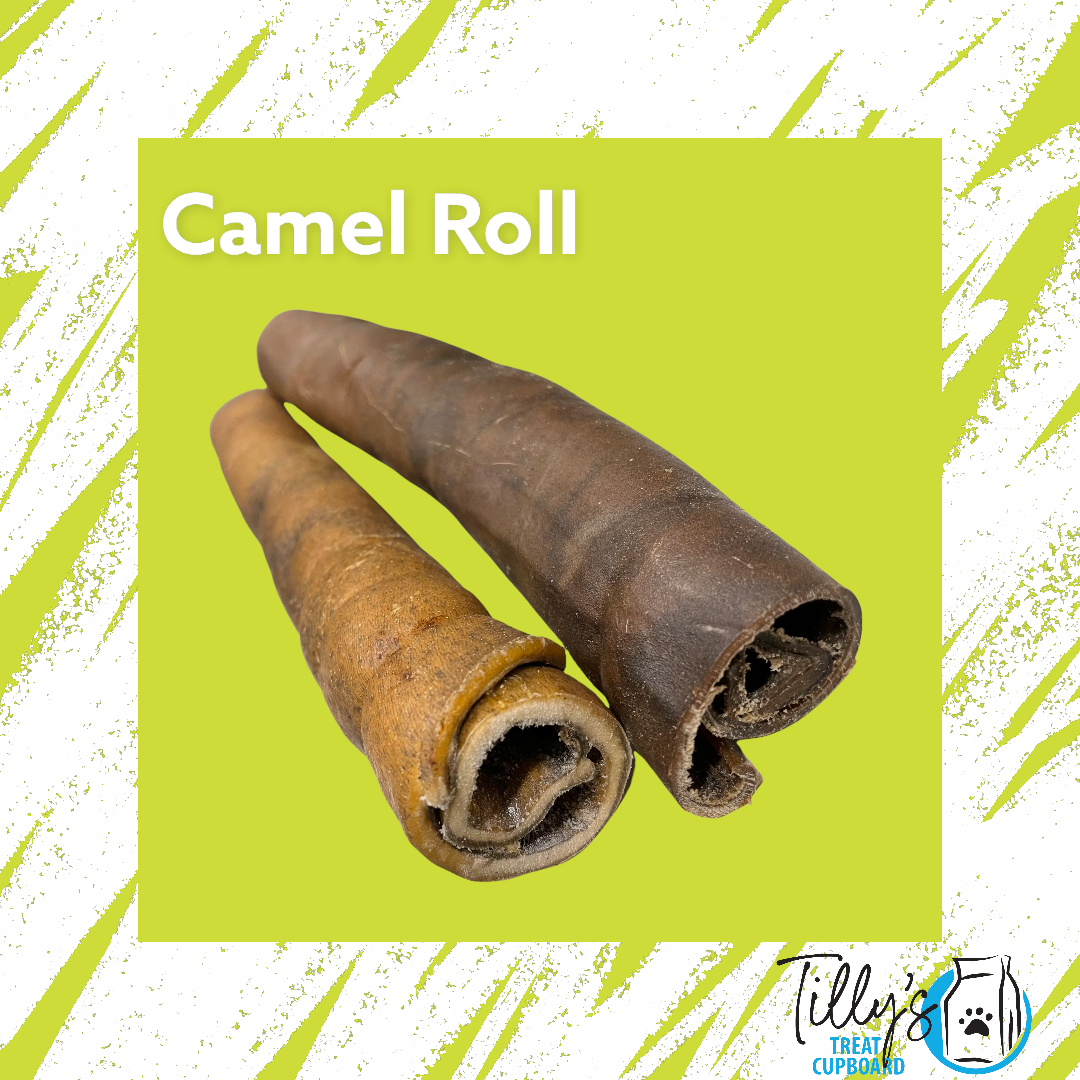 Camel Roll