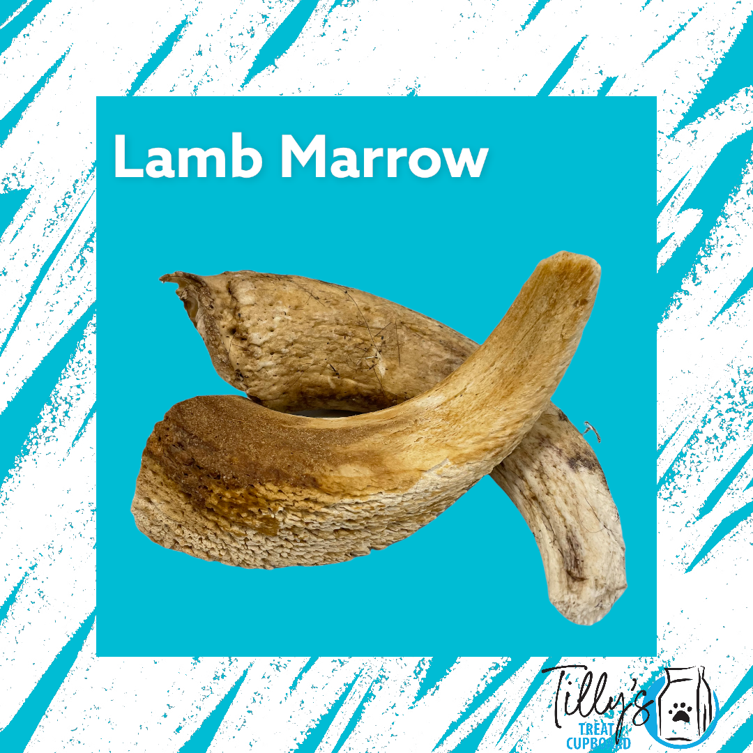 Lamb Horn Marrow