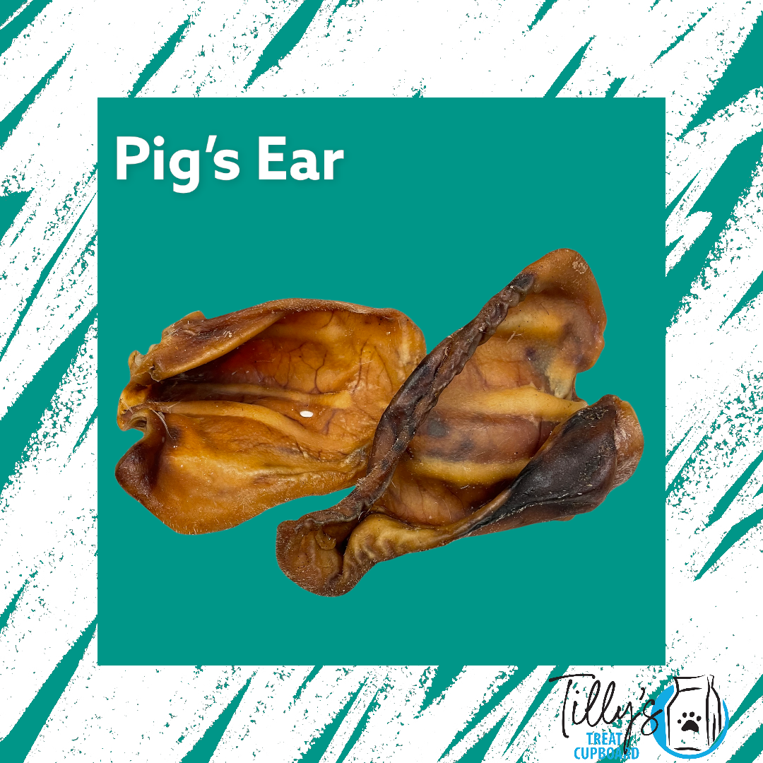 Pigs Ear