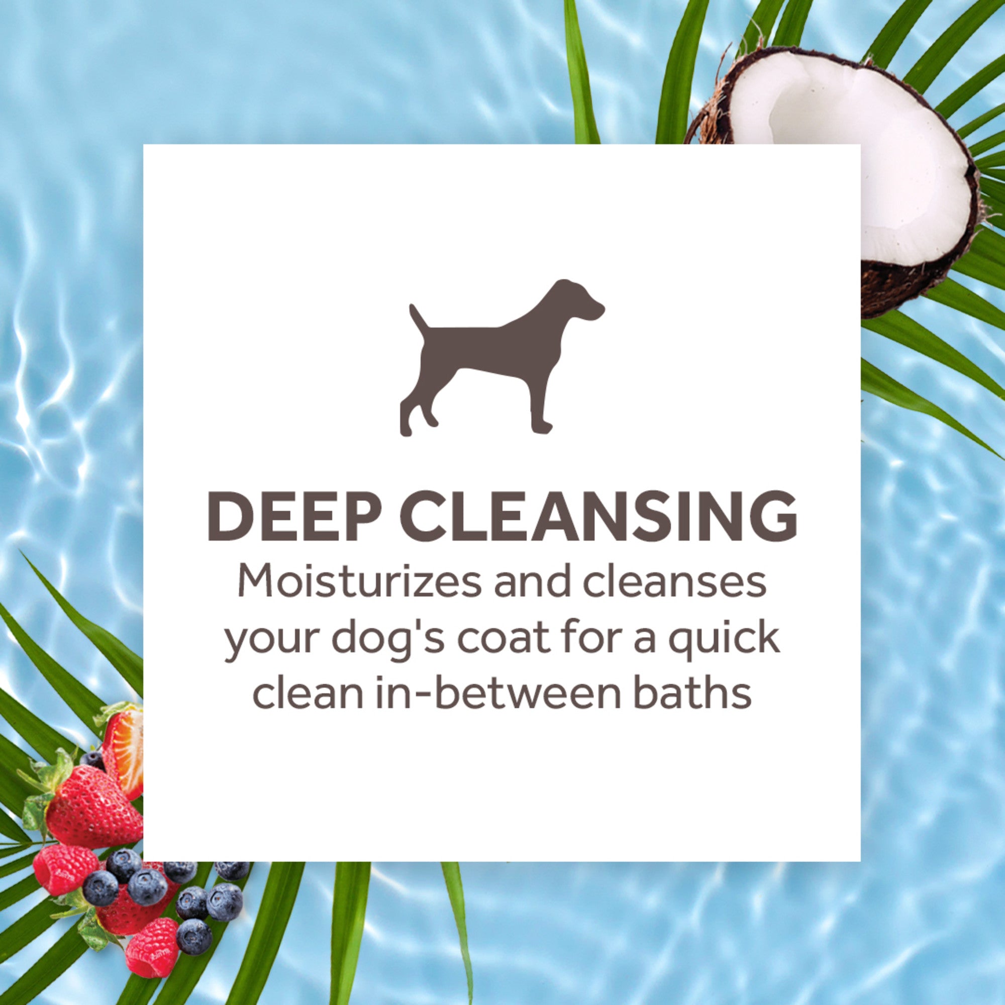 TropiClean Waterless Deep Cleansing Dog Shampoo 220ml - Tilly's Treat Cupboard