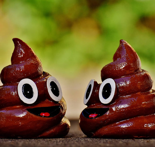 raw feed dog's poo