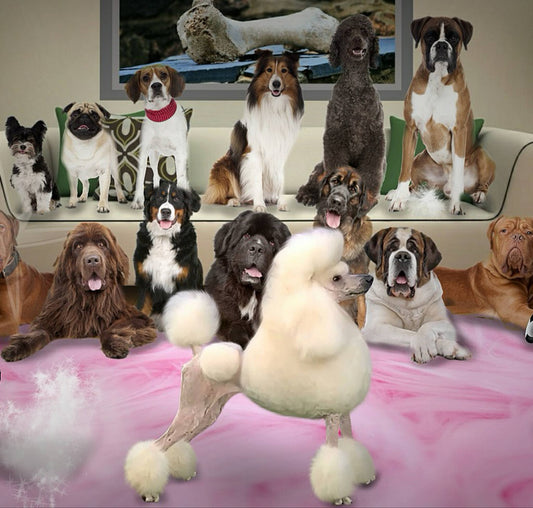 mixing up raw feeding brands