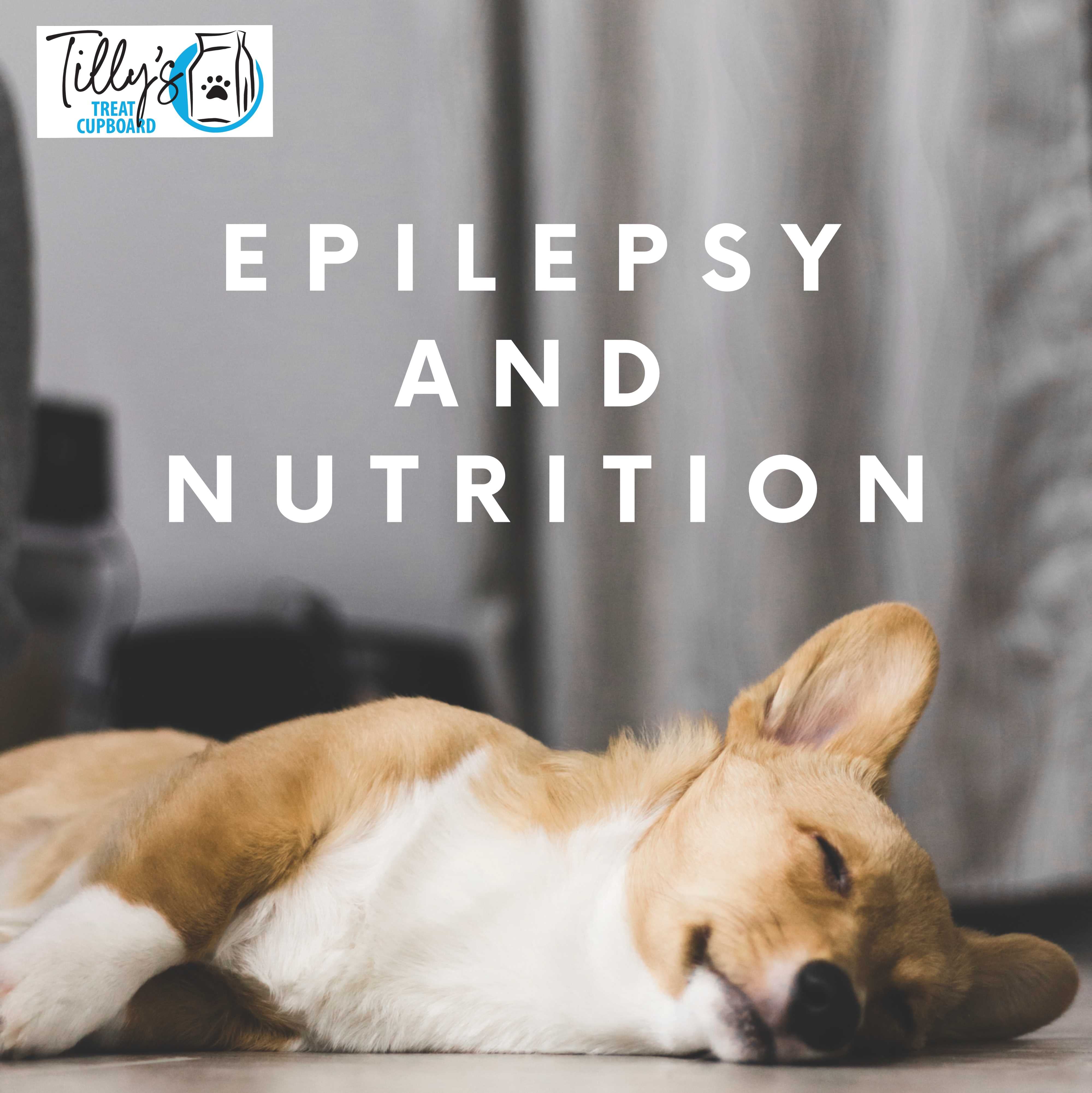 Idopathic Epilespy – Can it be controlled through diet?