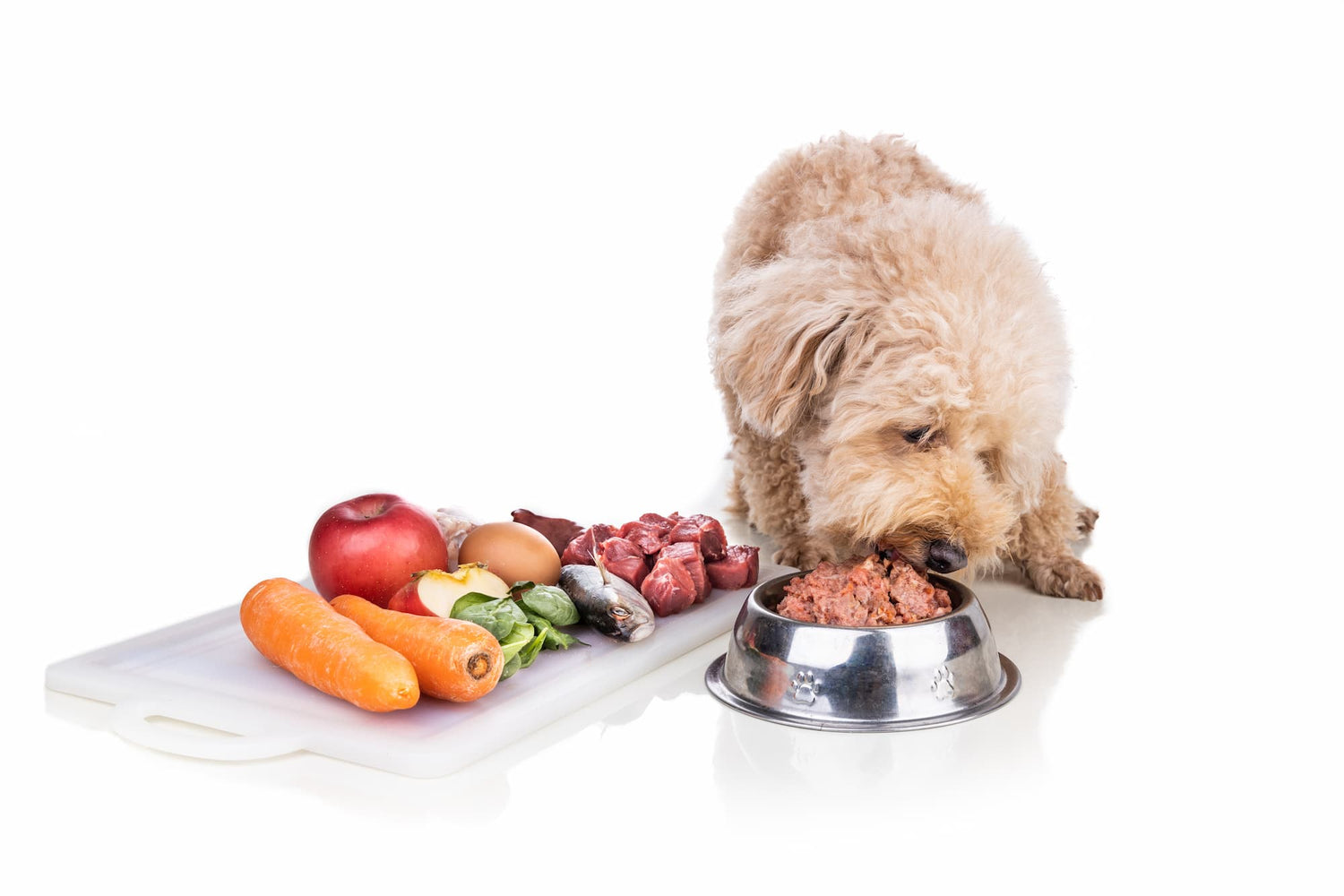 Adding supplements to raw diets