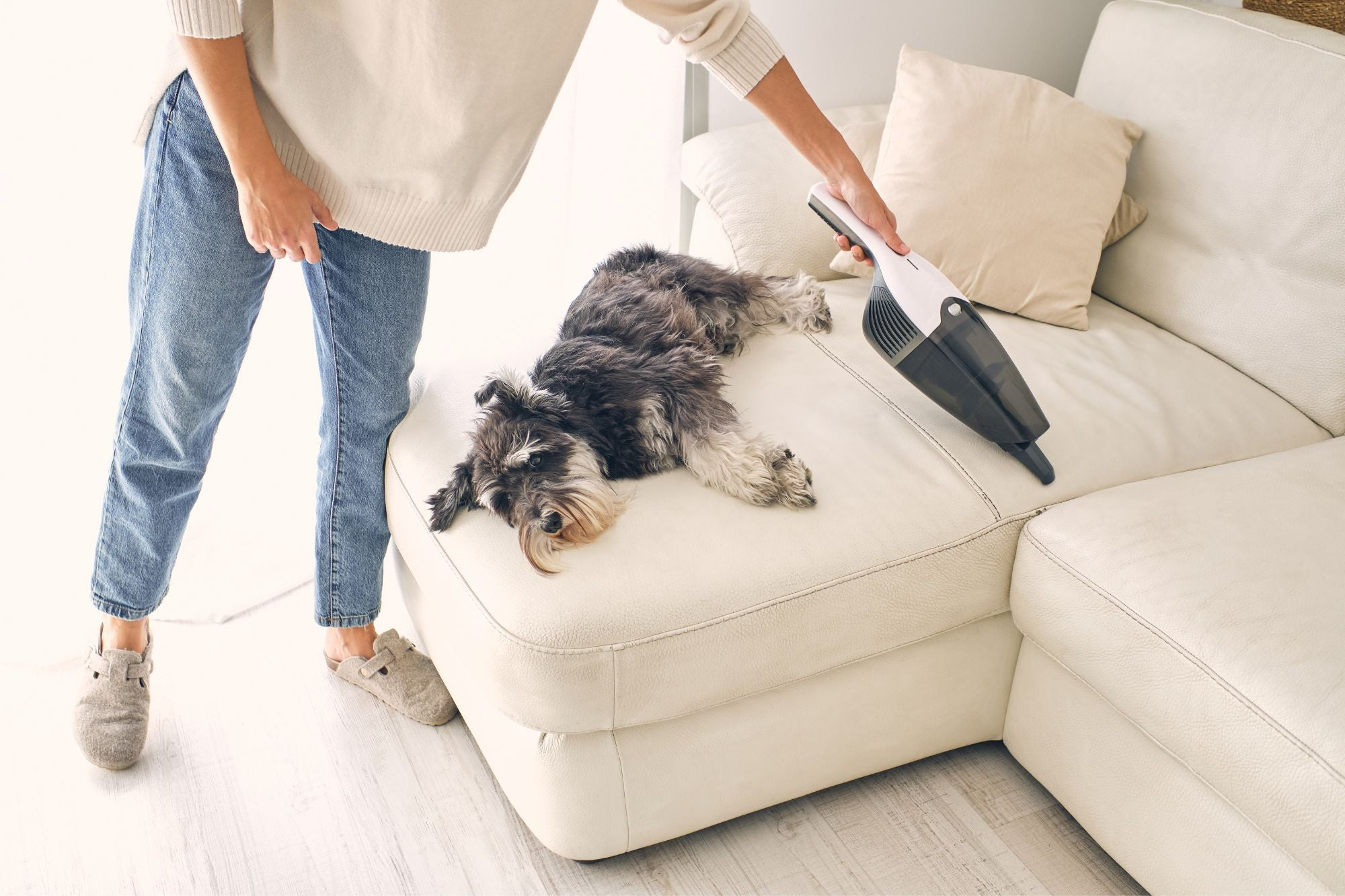Household Cleaners